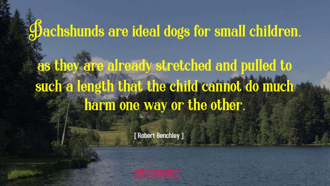 Dog Training quotes by Robert Benchley