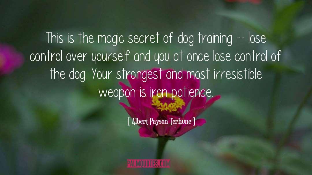 Dog Training quotes by Albert Payson Terhune