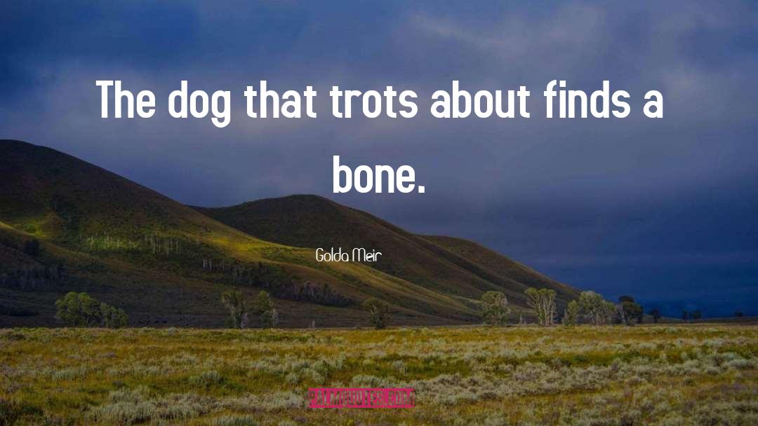 Dog Trots Globe quotes by Golda Meir