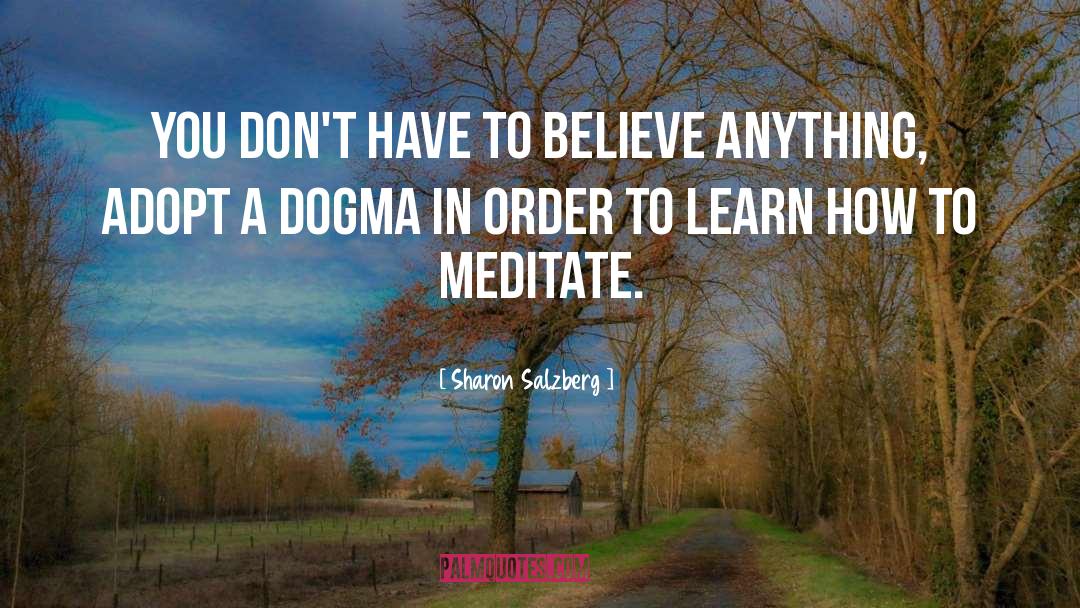 Dogma quotes by Sharon Salzberg