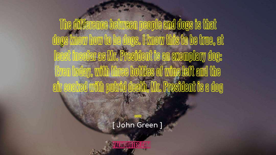 Dogness Feeder quotes by John Green