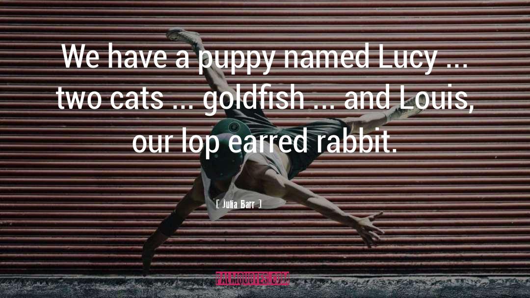 Dogs And Cats quotes by Julia Barr