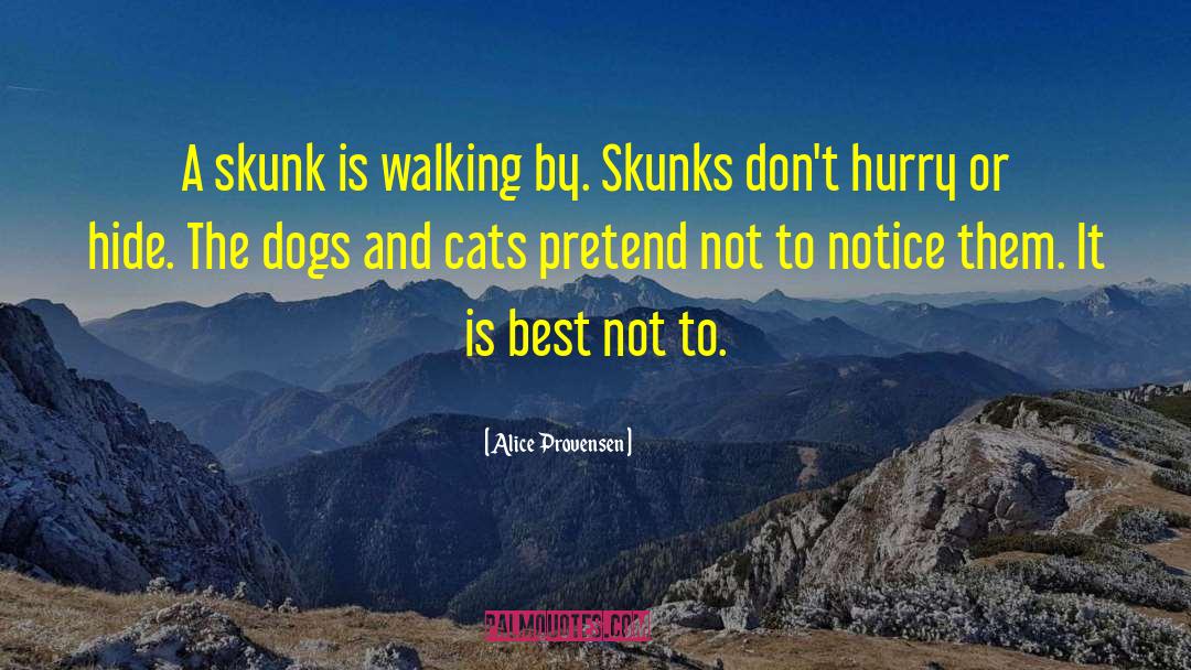 Dogs And Cats quotes by Alice Provensen