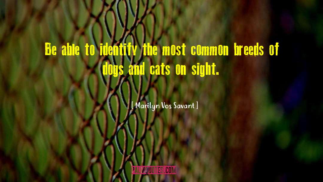 Dogs And Cats quotes by Marilyn Vos Savant