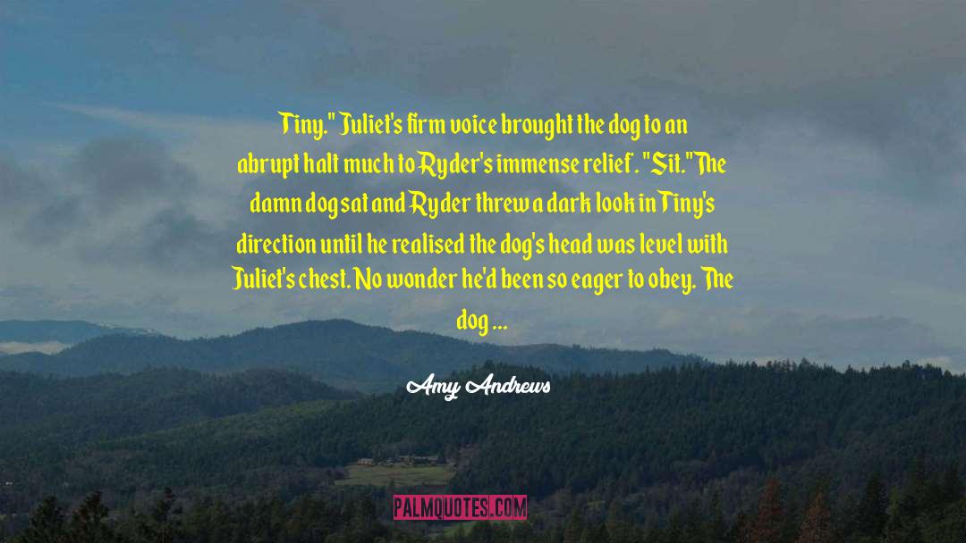 Dogs And Cats quotes by Amy Andrews