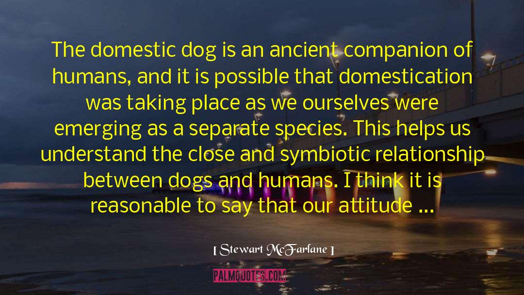 Dogs And Humans quotes by Stewart McFarlane