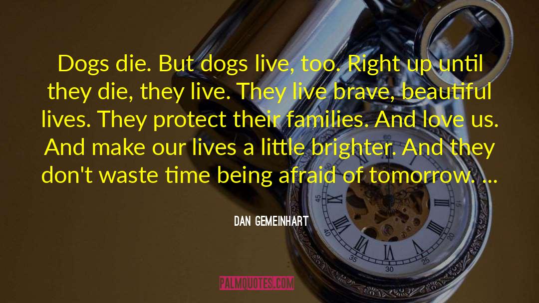 Dogs And Humans quotes by Dan Gemeinhart