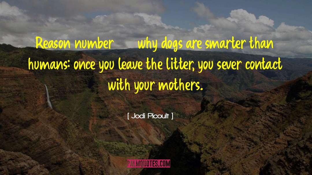 Dogs Humour quotes by Jodi Picoult