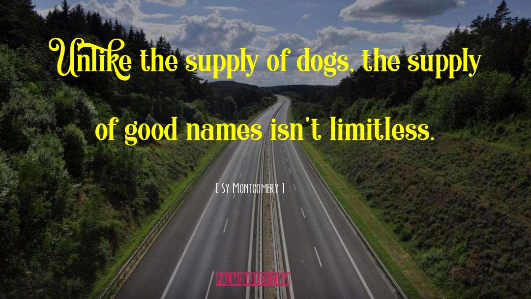 Dogs Humour quotes by Sy Montgomery