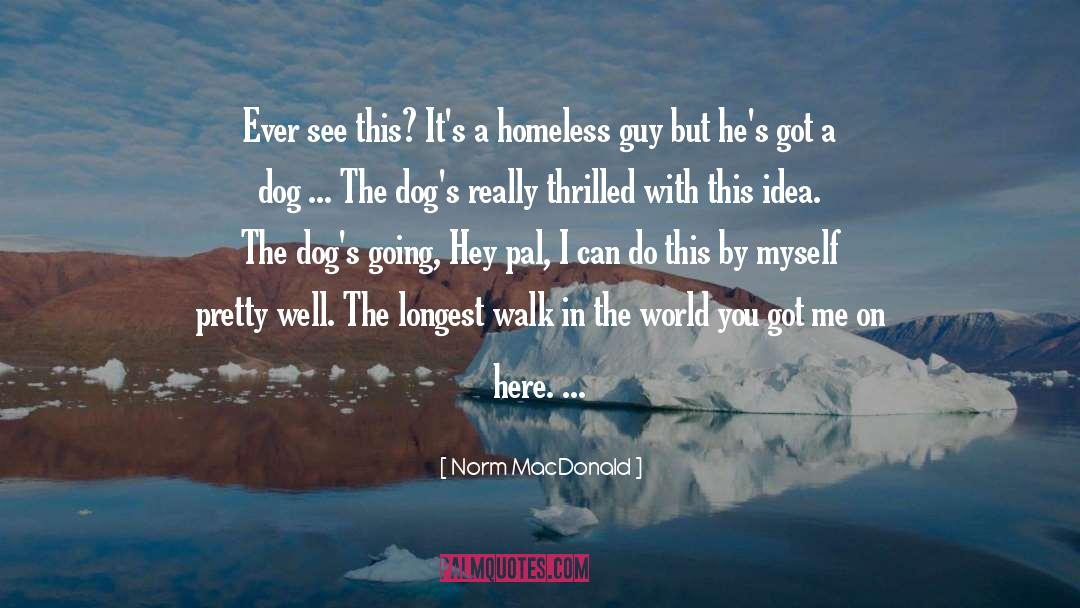 Dogs quotes by Norm MacDonald