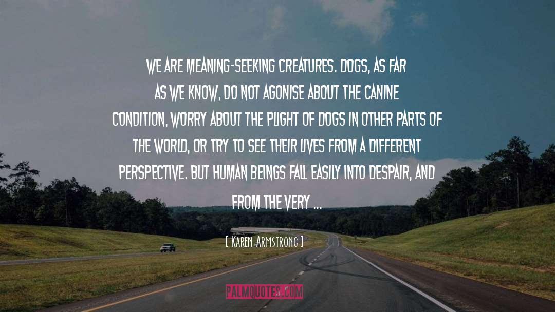 Dogs quotes by Karen Armstrong