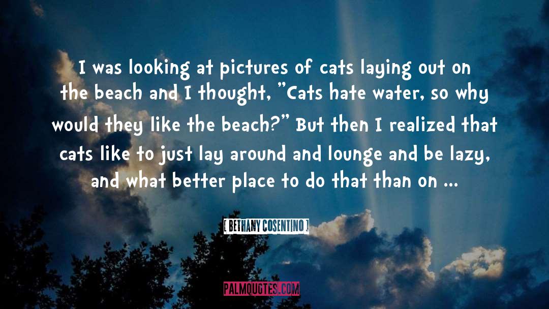 Dogs Vs Cats quotes by Bethany Cosentino