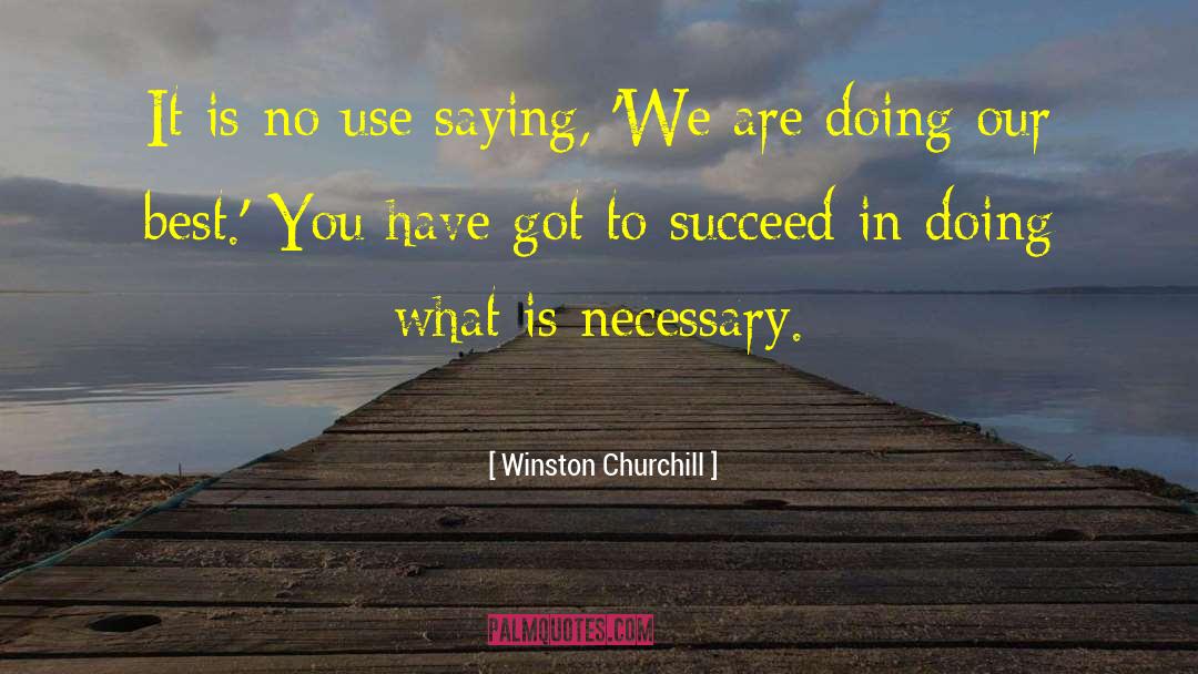 Doing Our Best quotes by Winston Churchill