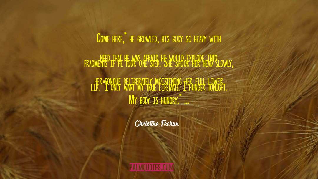 Doing Something Against Your Will quotes by Christine Feehan