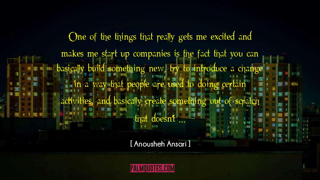 Doing Something Stupid quotes by Anousheh Ansari