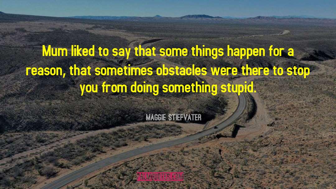 Doing Something Stupid quotes by Maggie Stiefvater