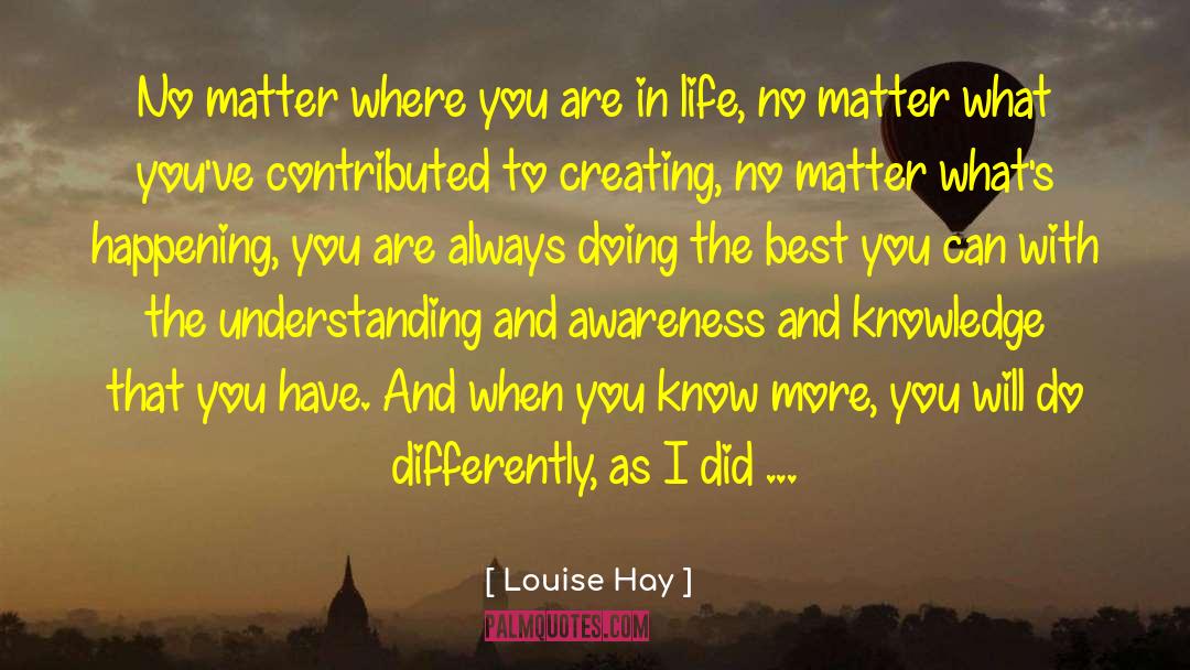 Doing The Best You Can quotes by Louise Hay