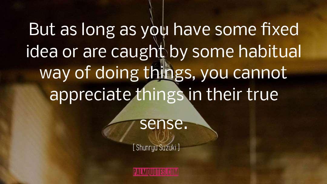 Doing Things quotes by Shunryu Suzuki