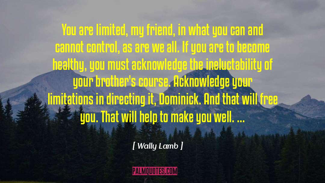 Doing What You Can To Help quotes by Wally Lamb