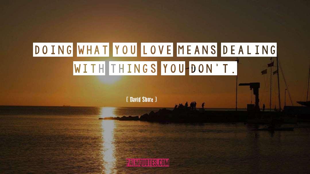 Doing What You Love quotes by David Shore