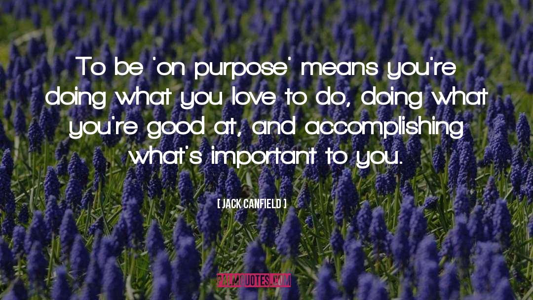 Doing What You Love quotes by Jack Canfield