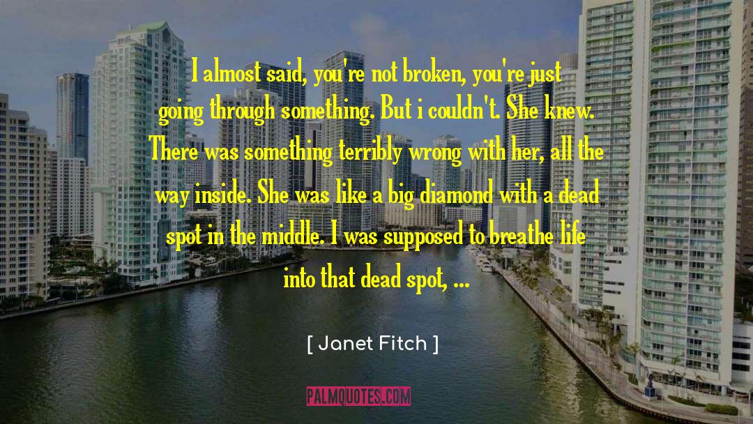 Doing Wrong quotes by Janet Fitch