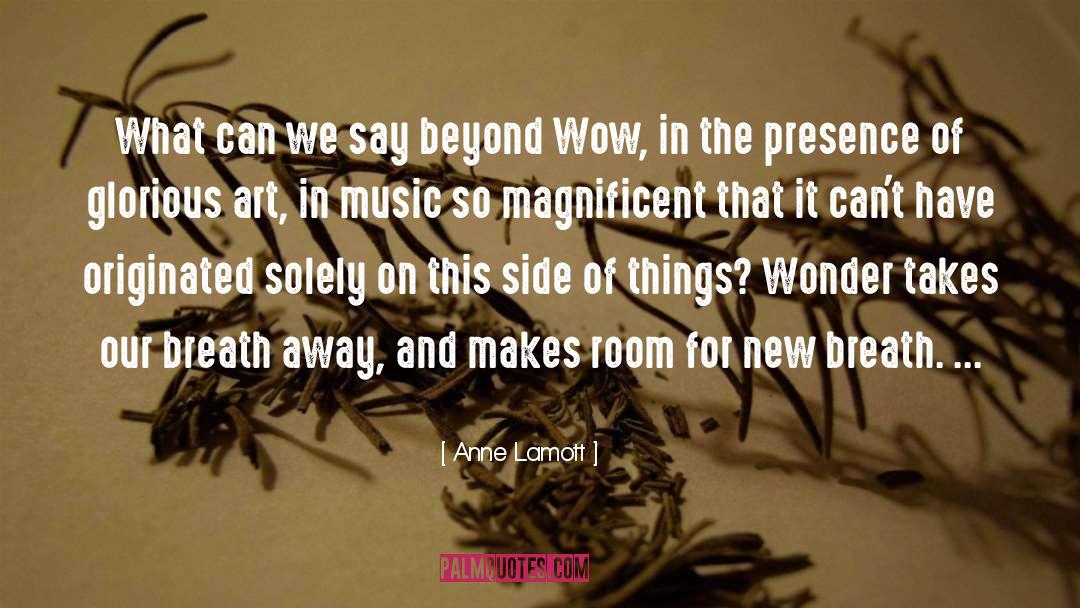 Dolinar Music quotes by Anne Lamott