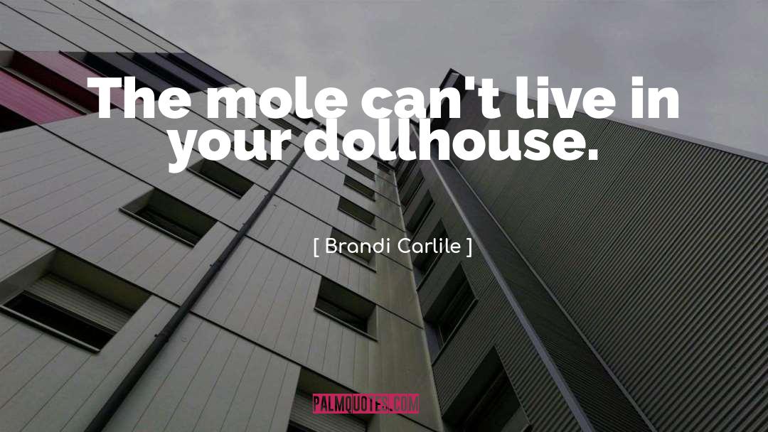 Dollhouse quotes by Brandi Carlile