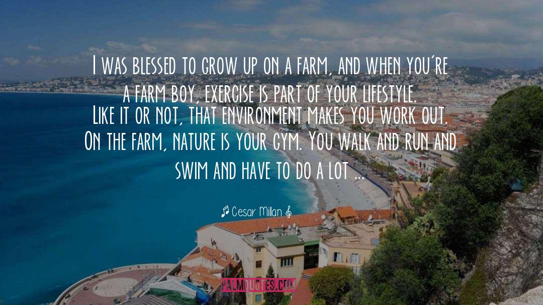 Dollinger Family Farm quotes by Cesar Millan