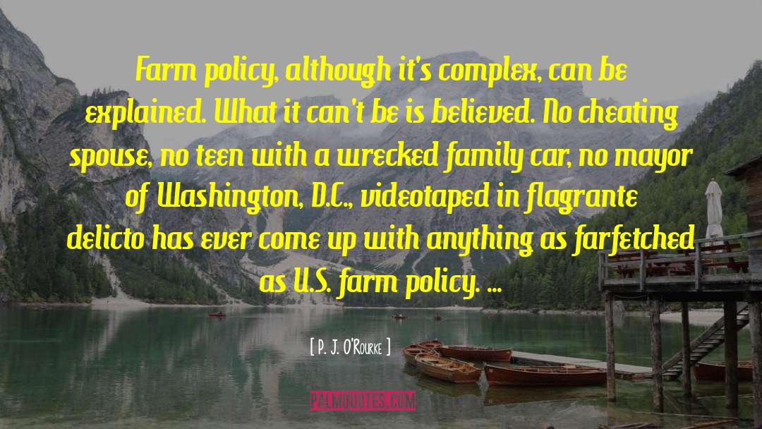 Dollinger Family Farm quotes by P. J. O'Rourke