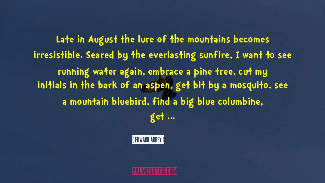 Dolmens In The Blue Mountain quotes by Edward Abbey