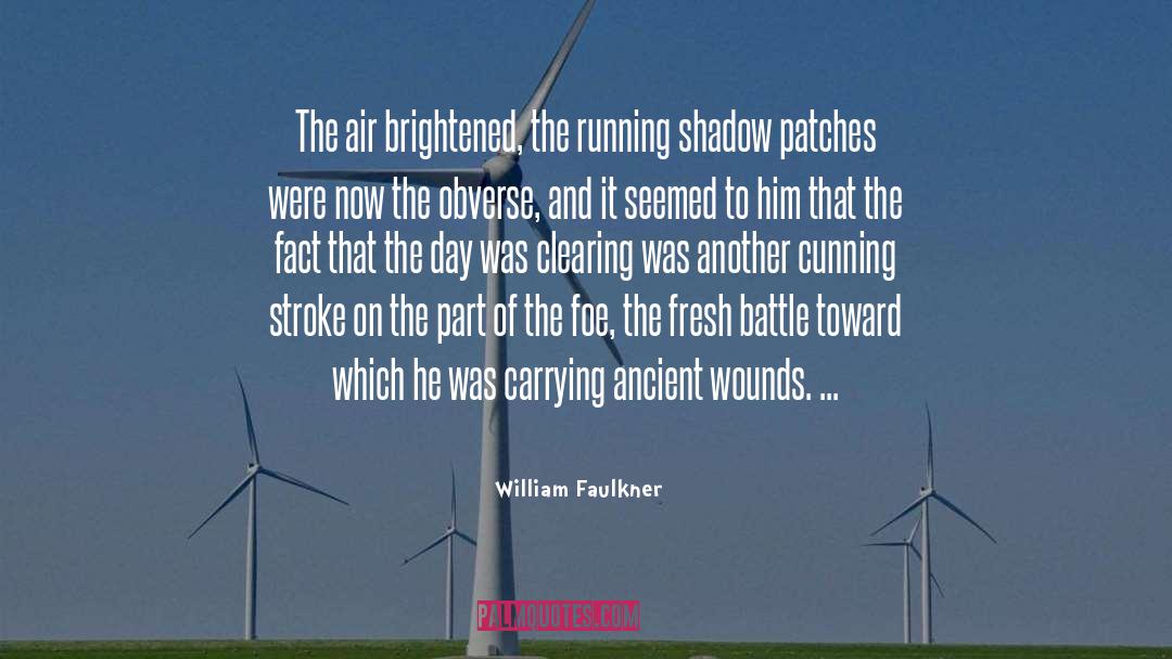 Dolor And Shadow quotes by William Faulkner