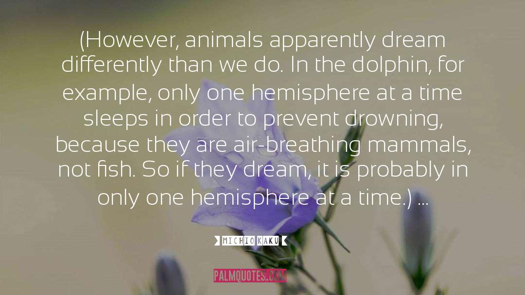 Dolphin quotes by Michio Kaku