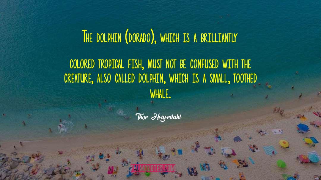 Dolphin quotes by Thor Heyerdahl