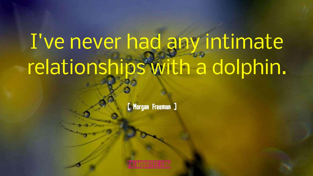 Dolphin quotes by Morgan Freeman