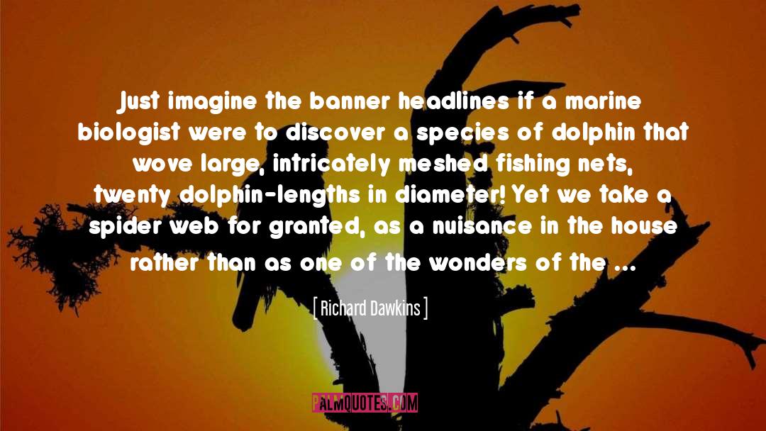 Dolphin quotes by Richard Dawkins