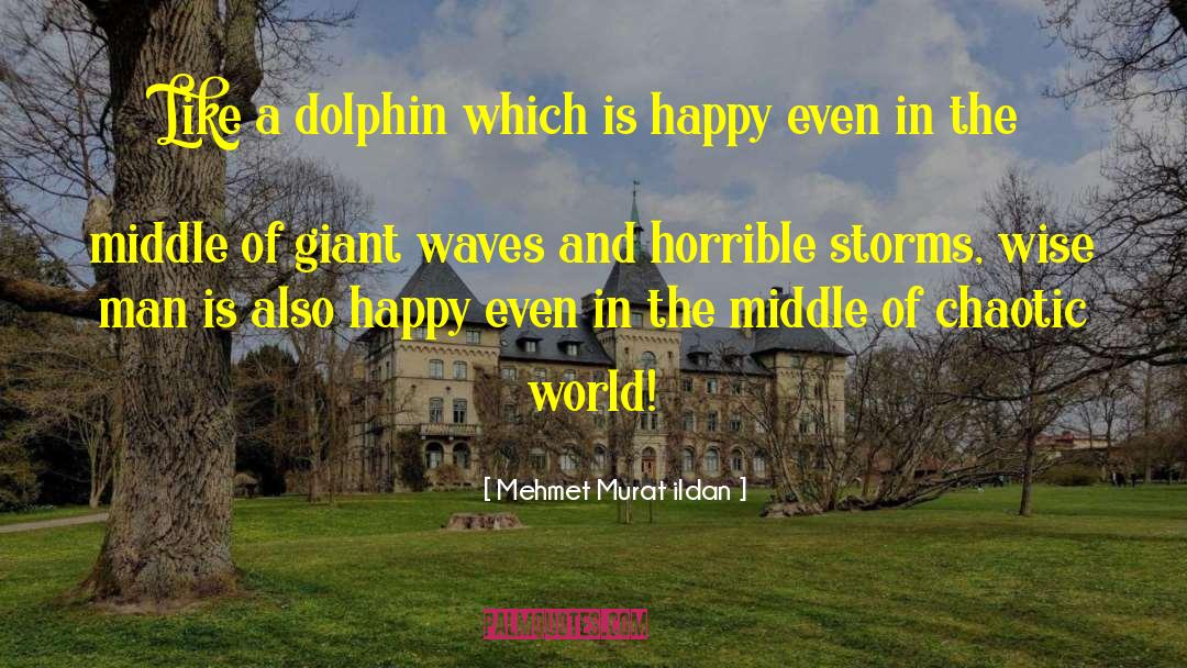 Dolphin quotes by Mehmet Murat Ildan