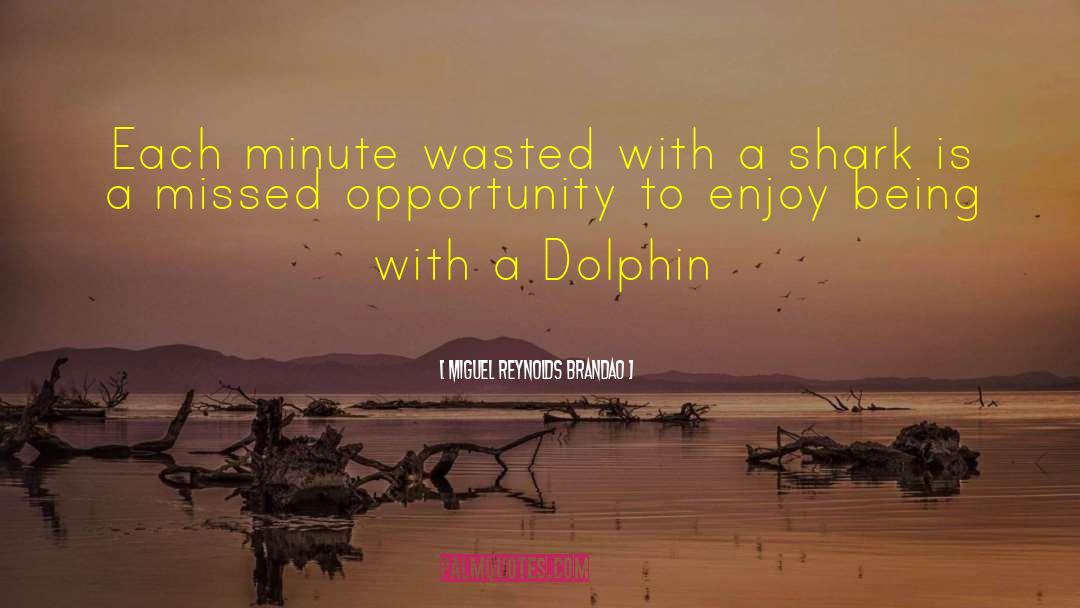 Dolphin quotes by Miguel Reynolds Brandao