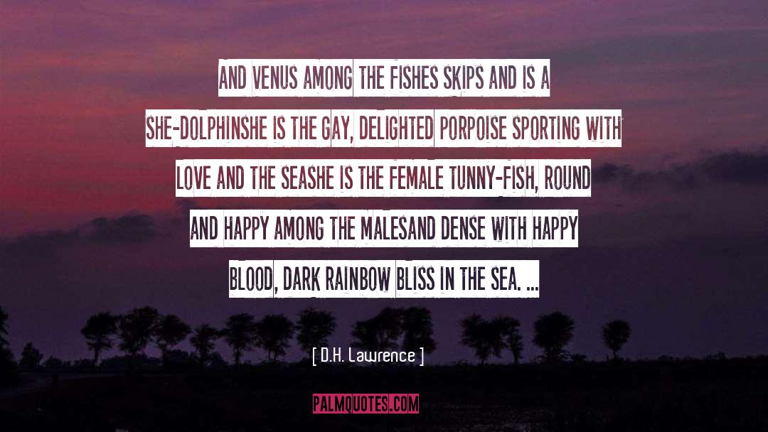 Dolphin quotes by D.H. Lawrence