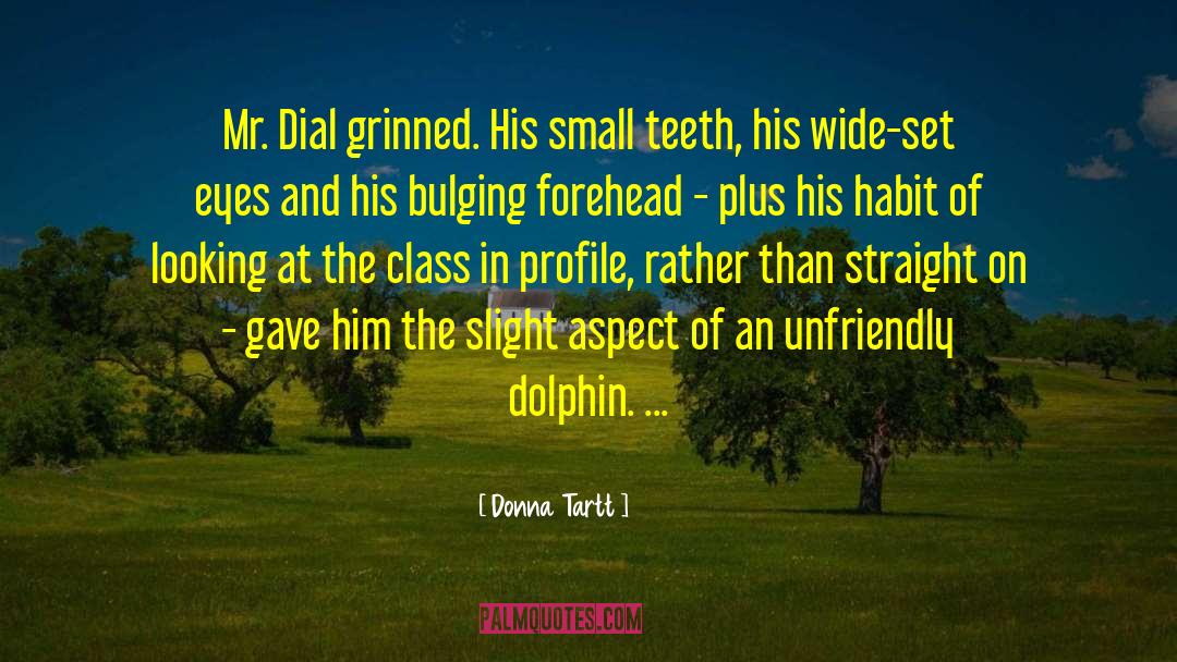Dolphin quotes by Donna Tartt