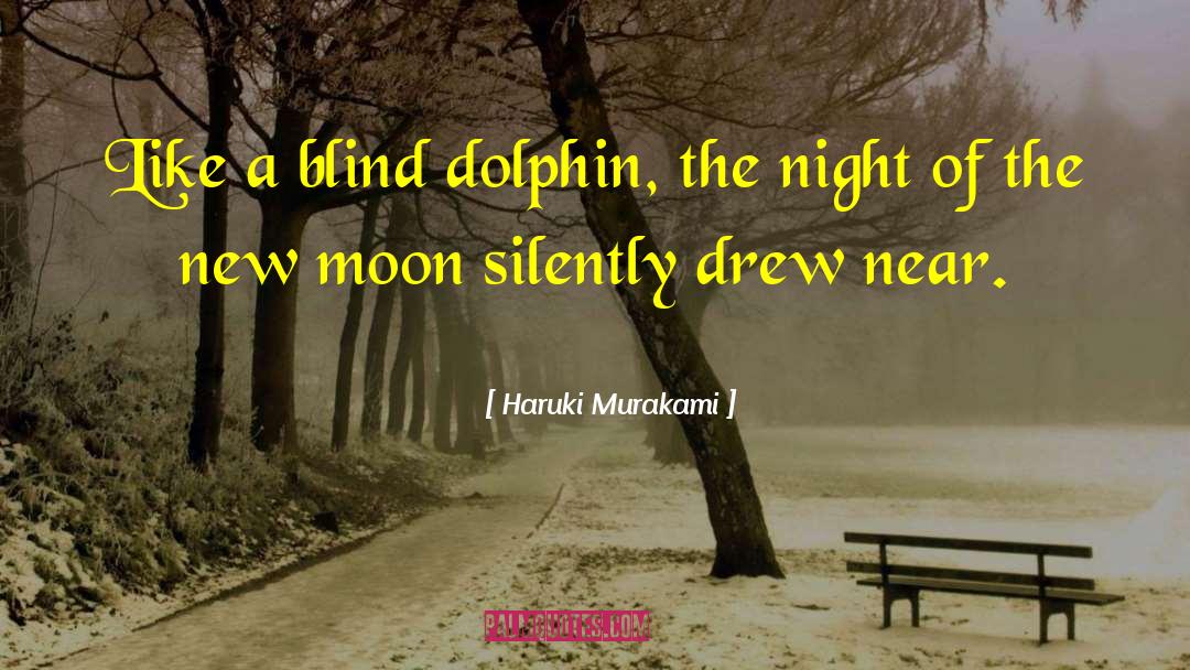 Dolphin quotes by Haruki Murakami