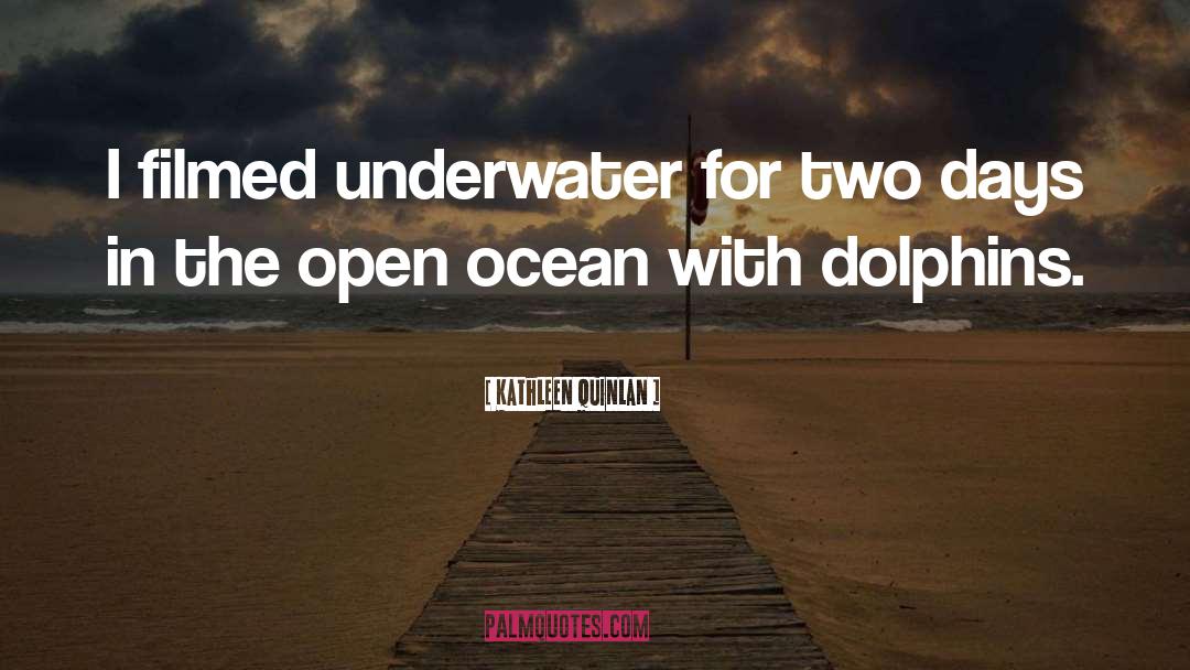 Dolphins quotes by Kathleen Quinlan