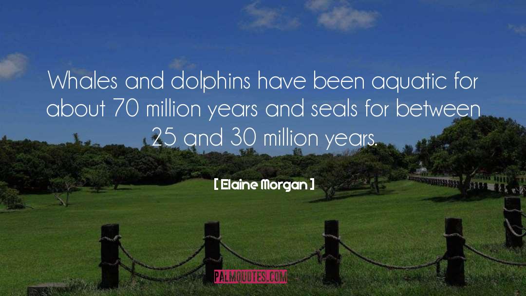 Dolphins quotes by Elaine Morgan