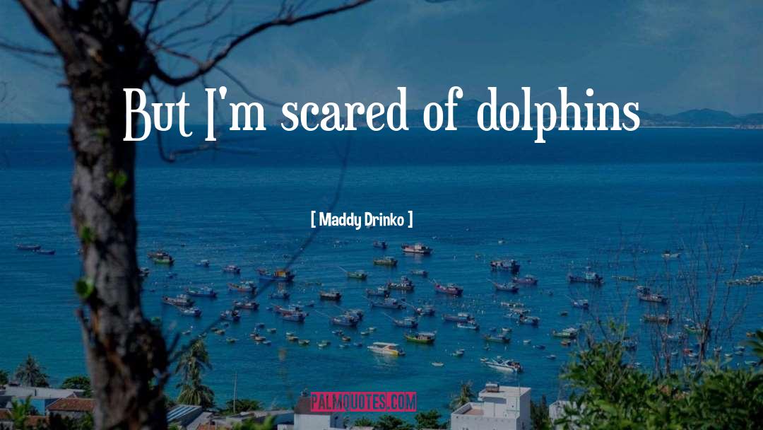Dolphins quotes by Maddy Drinko