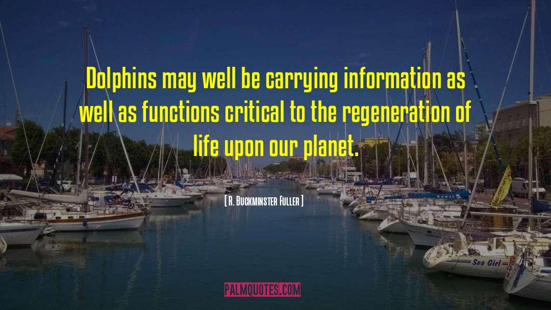 Dolphins quotes by R. Buckminster Fuller