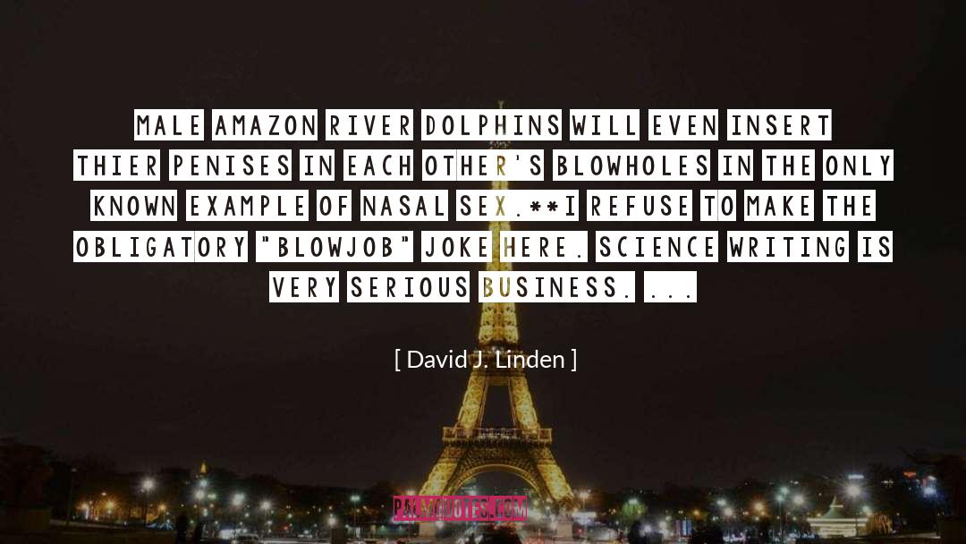 Dolphins quotes by David J. Linden