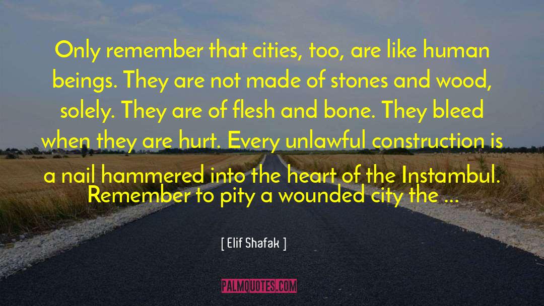 Dombrowski Construction quotes by Elif Shafak