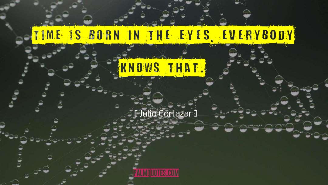 Dombrowski Eye quotes by Julio Cortazar