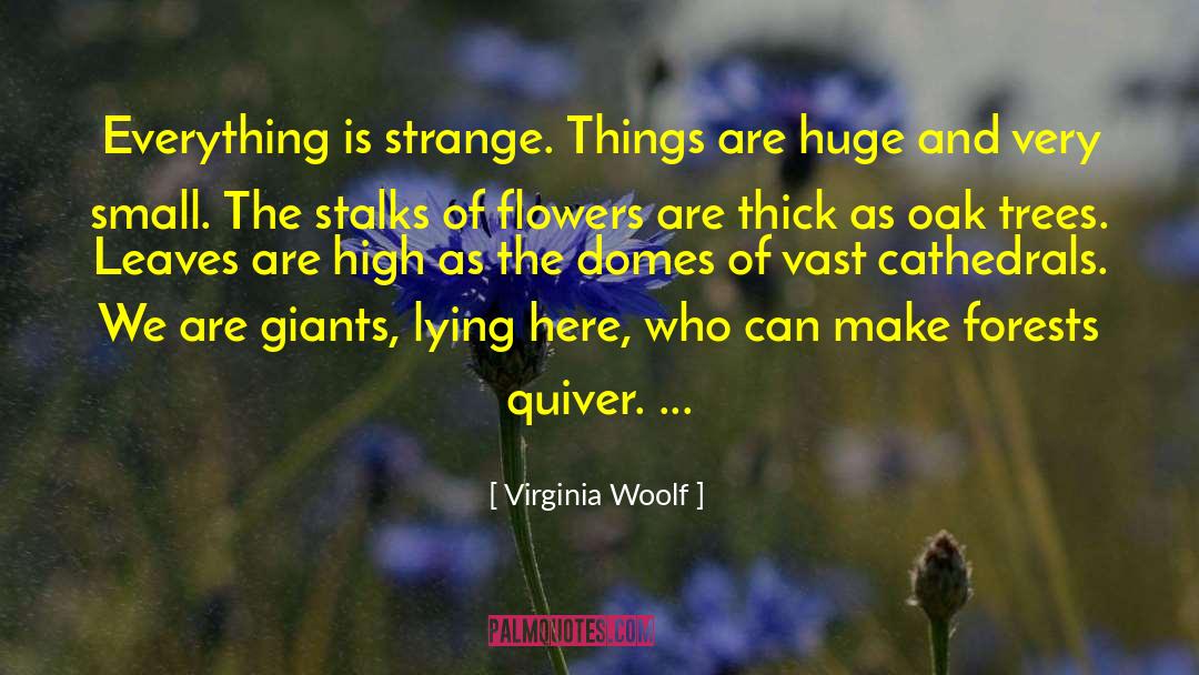 Domes quotes by Virginia Woolf