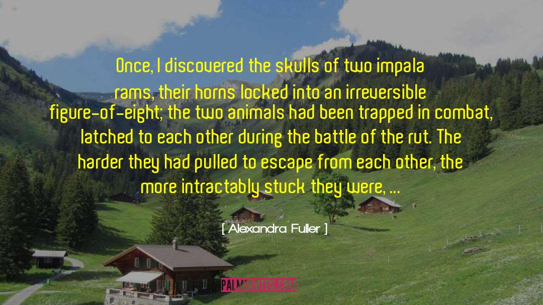 Domestic Animals quotes by Alexandra Fuller